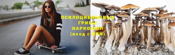 apvp Баксан