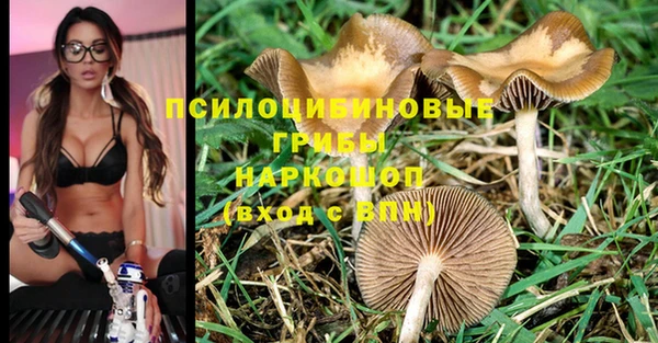 Альфа ПВП Балахна